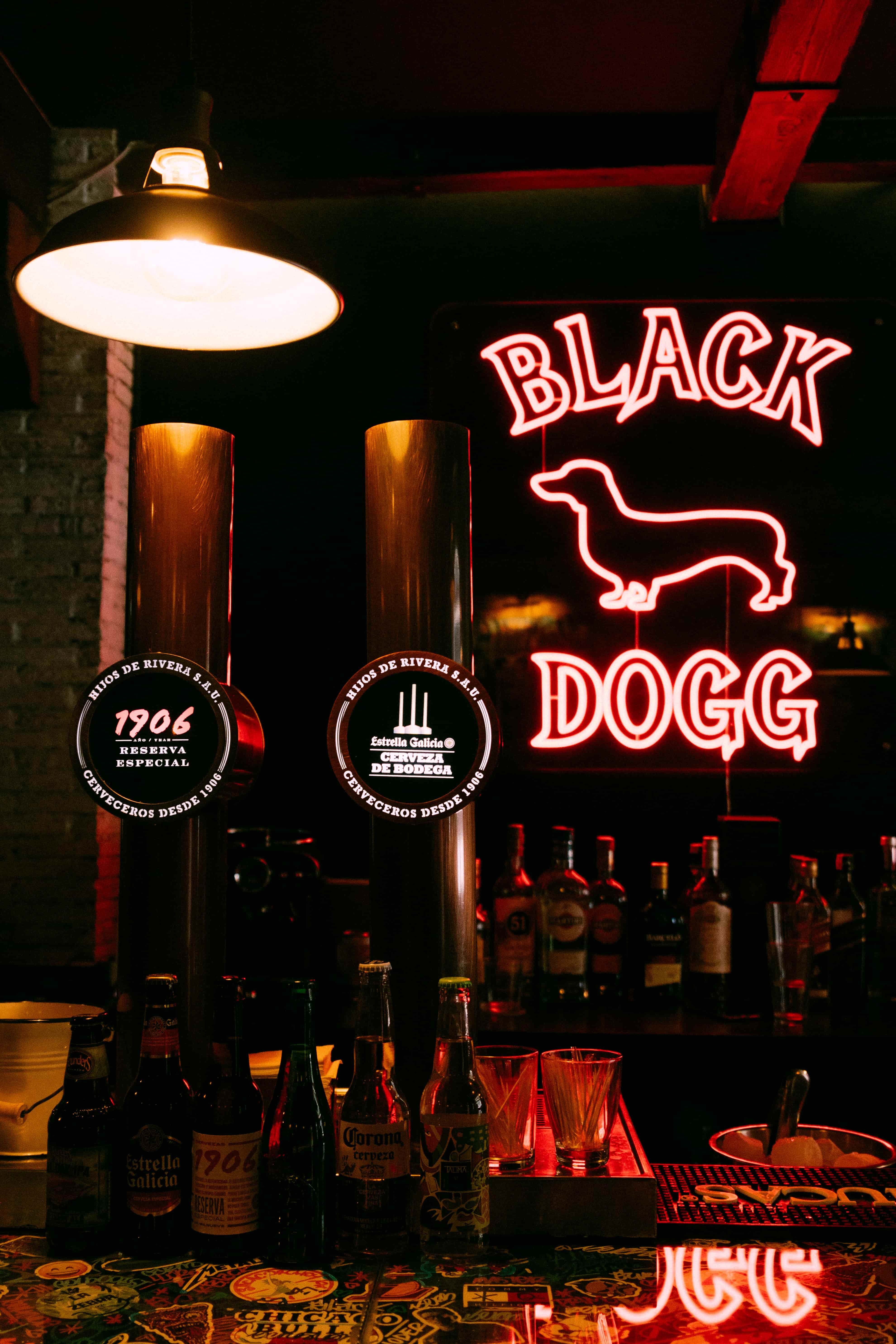 Logo BlackDogg